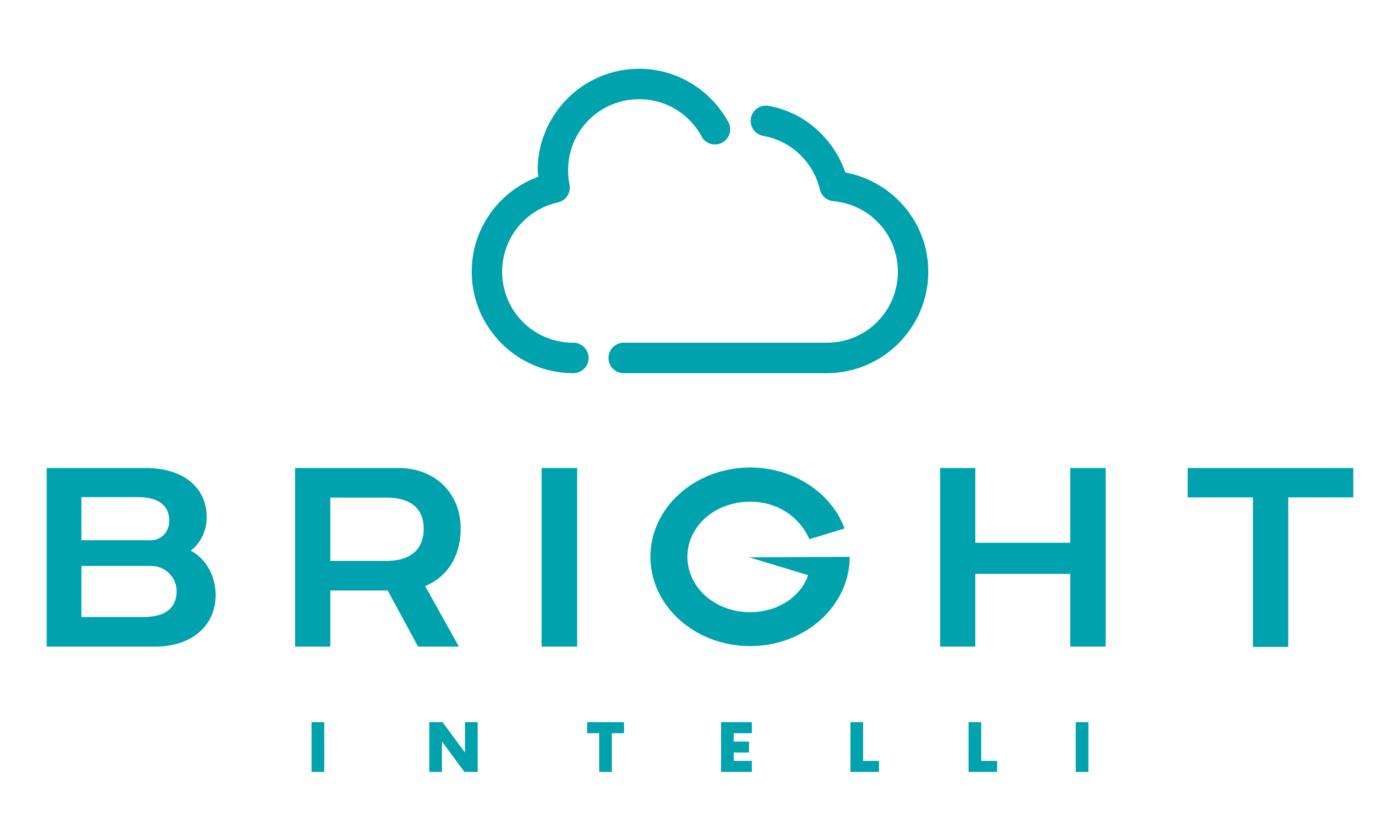 Bright Intelli, LLC