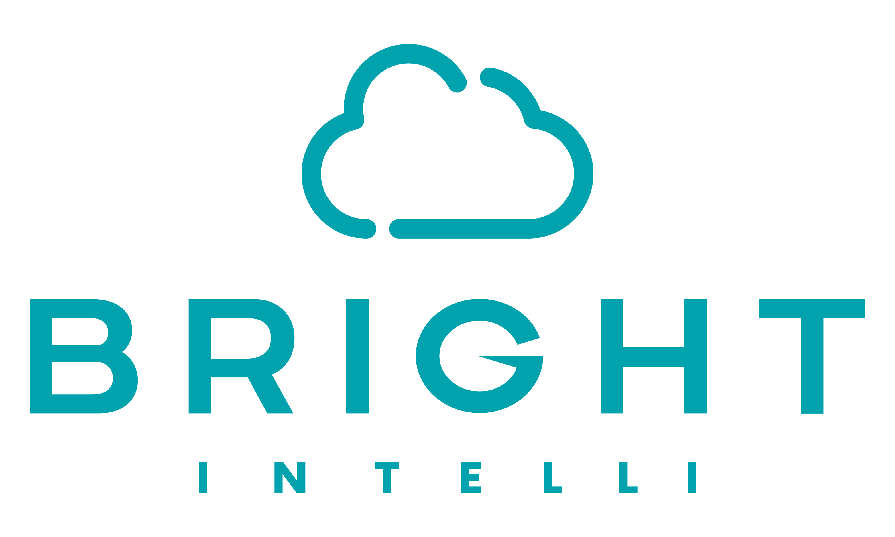 Bright Intelli, LLC